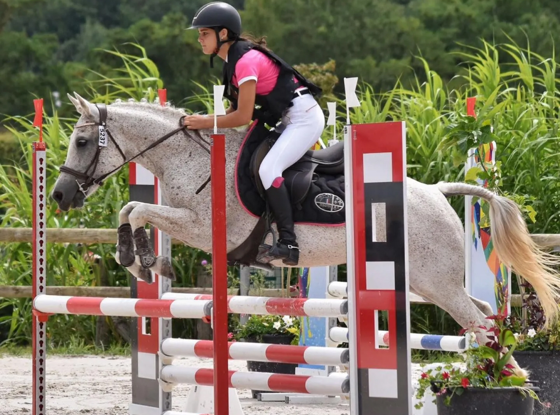 Haras Dobtree Les Ecuries De Saint Augustin Equitation La Crau Competition Equitation