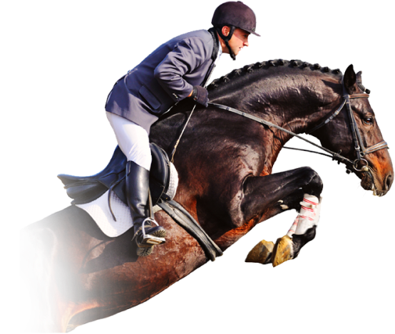 Haras Dobtree Les Ecuries De Saint Augustin Equitation La Crau Contact