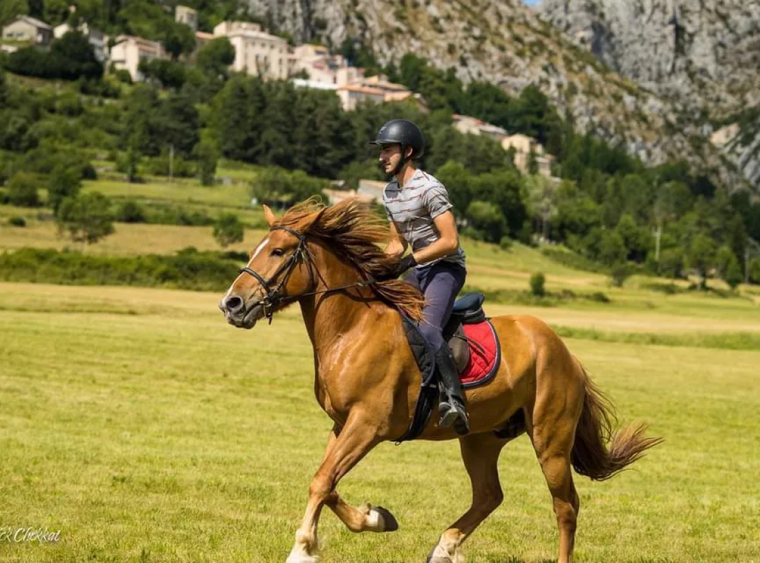 centre Equestre La Crau