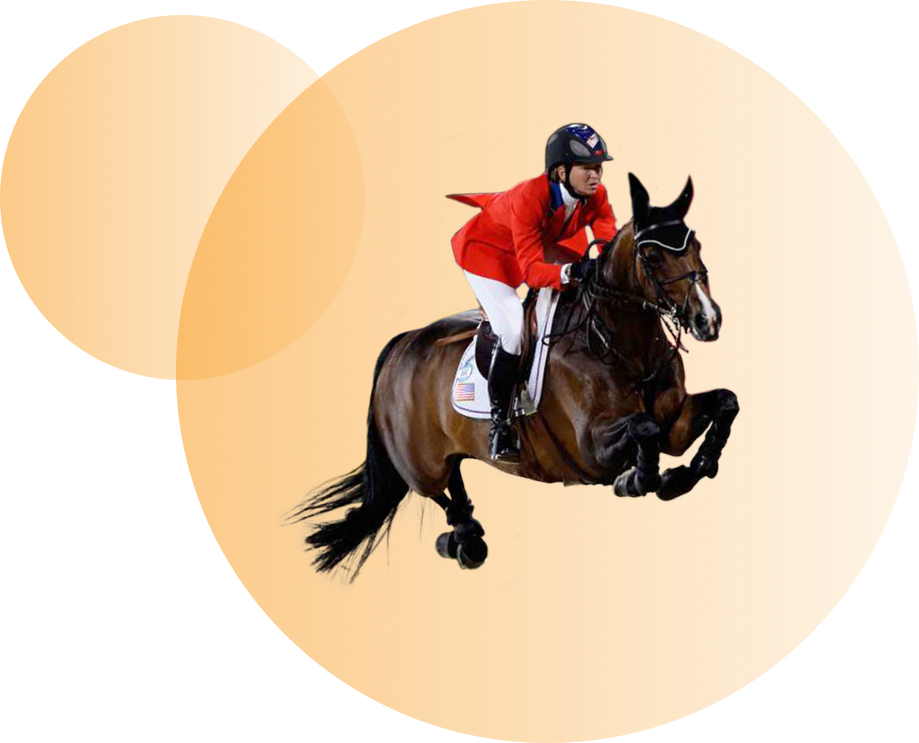 Haras Dobtree Les Ecuries De Saint Augustin Equitation La Crau Nos Points Fort