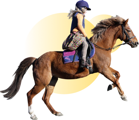 Haras Dobtree Les Ecuries De Saint Augustin Equitation La Crau Pret A Sauter Le Pas Et A Monter En Selle
