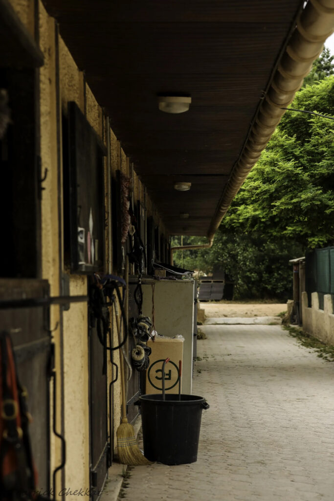 Haras Dobtree Les Ecuries De Saint Augustin Equitation La Crau Realisation 13