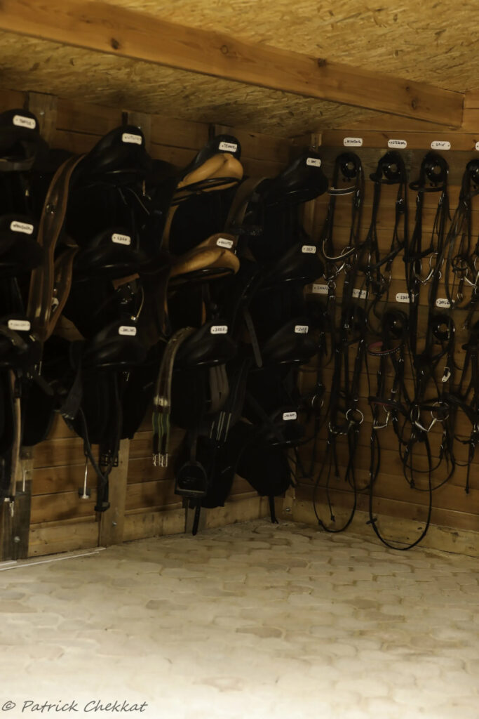 Haras Dobtree Les Ecuries De Saint Augustin Equitation La Crau Realisation 15
