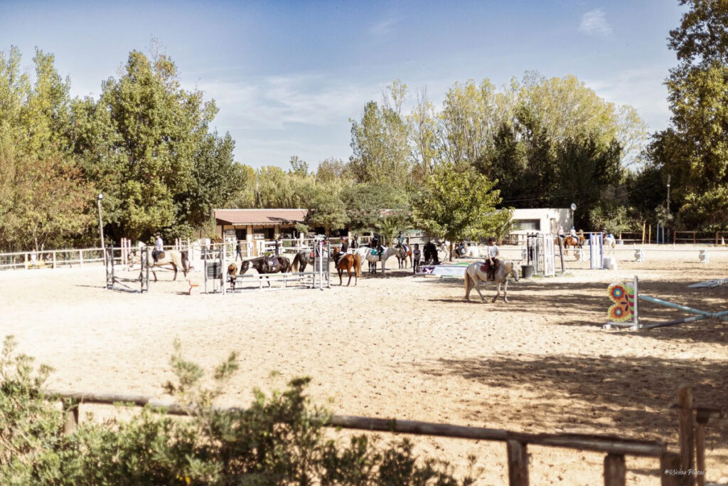 Haras Dobtree Les Ecuries De Saint Augustin Equitation La Crau Realisation 2