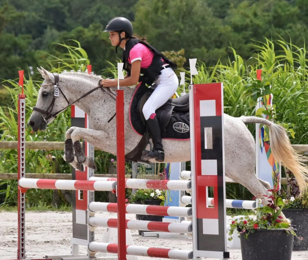 Haras Dobtree Les Ecuries De Saint Augustin Equitation La Crau Realisation 22