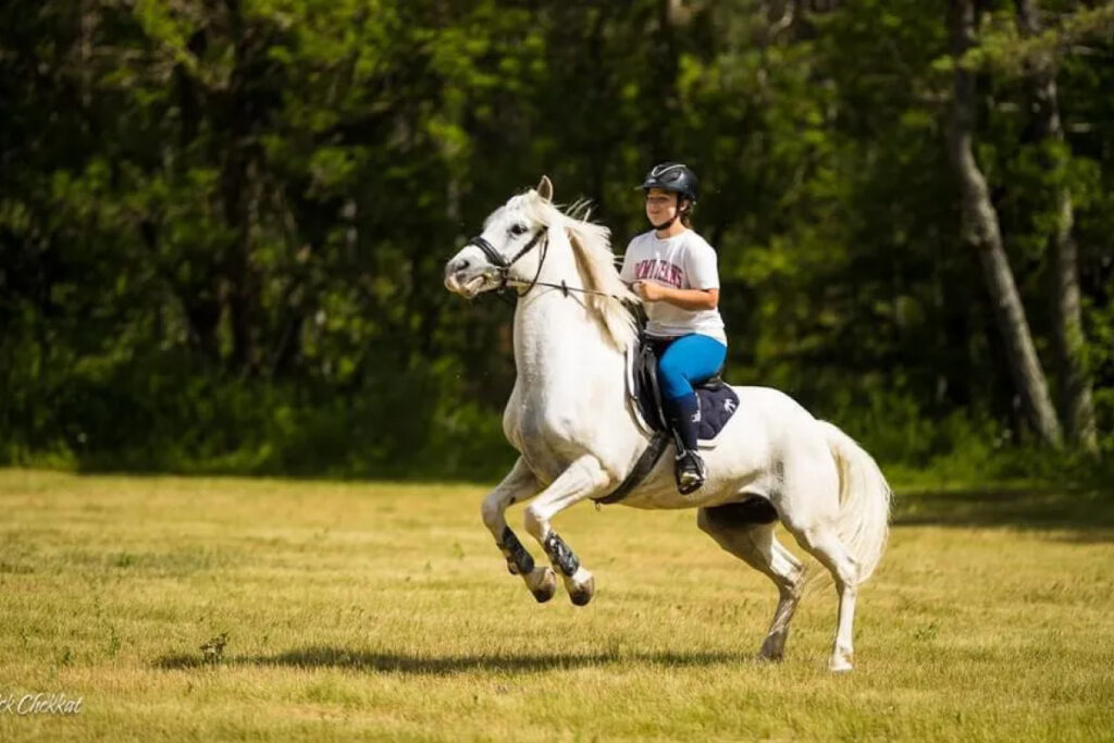 centre Equestre Le Pradet