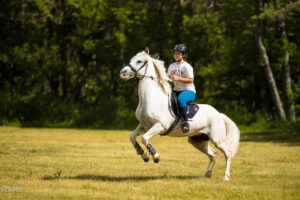 centre Equestre Le Pradet