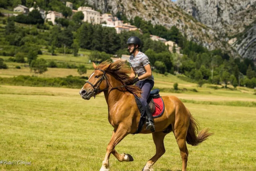 Haras Dobtree Les Ecuries De Saint Augustin Equitation La Crau Realisation 24