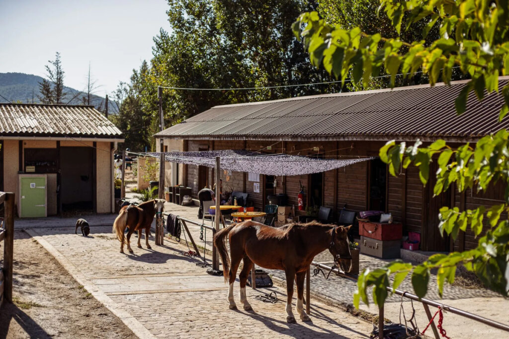 Haras Dobtree Les Ecuries De Saint Augustin Equitation La Crau Realisation 3