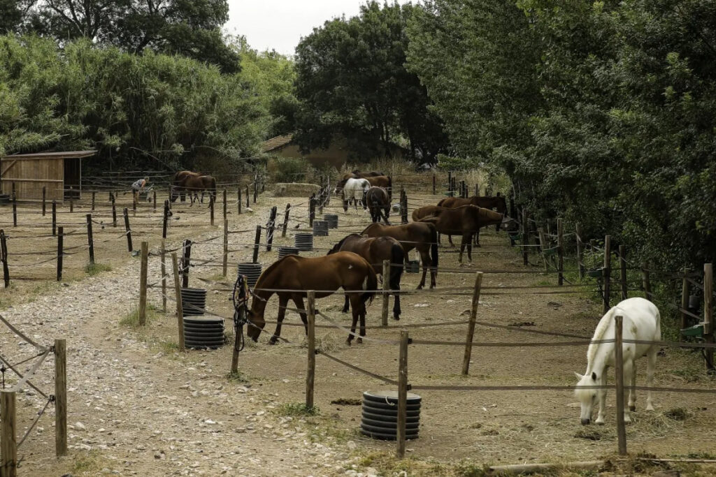 centre Equestre Cuers